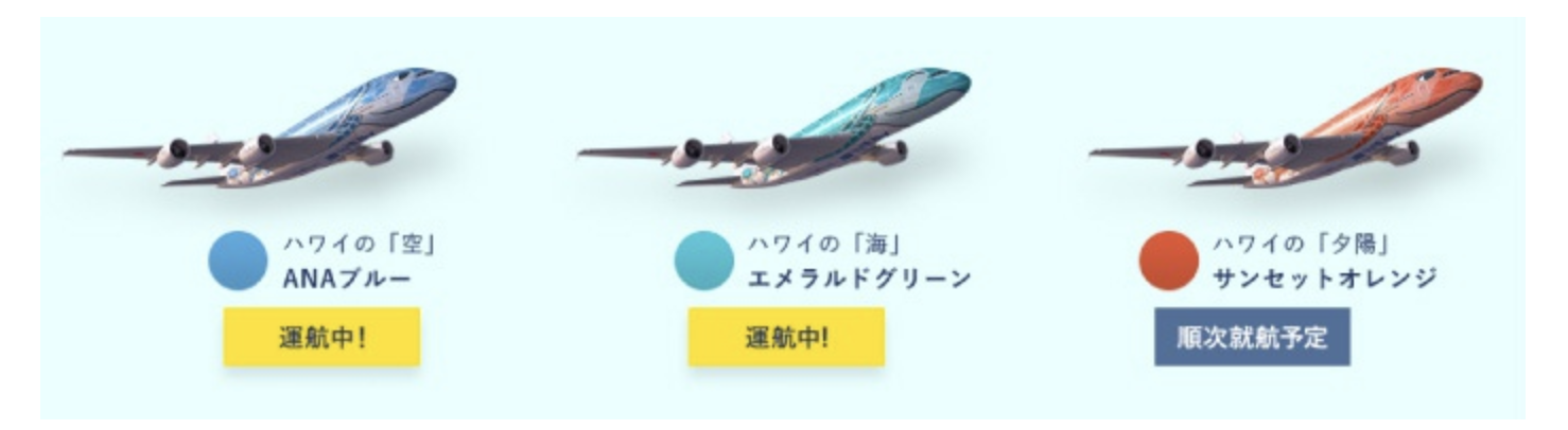 6月1日よりANAの成田＝ホノルル線が すべて「FLYING HONU」に！
